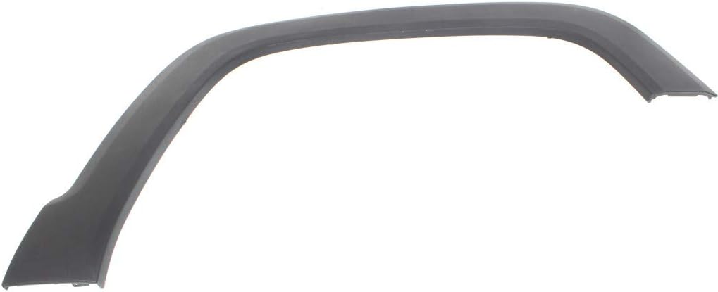 Passenger Side Front Wheel Arch Molding D319