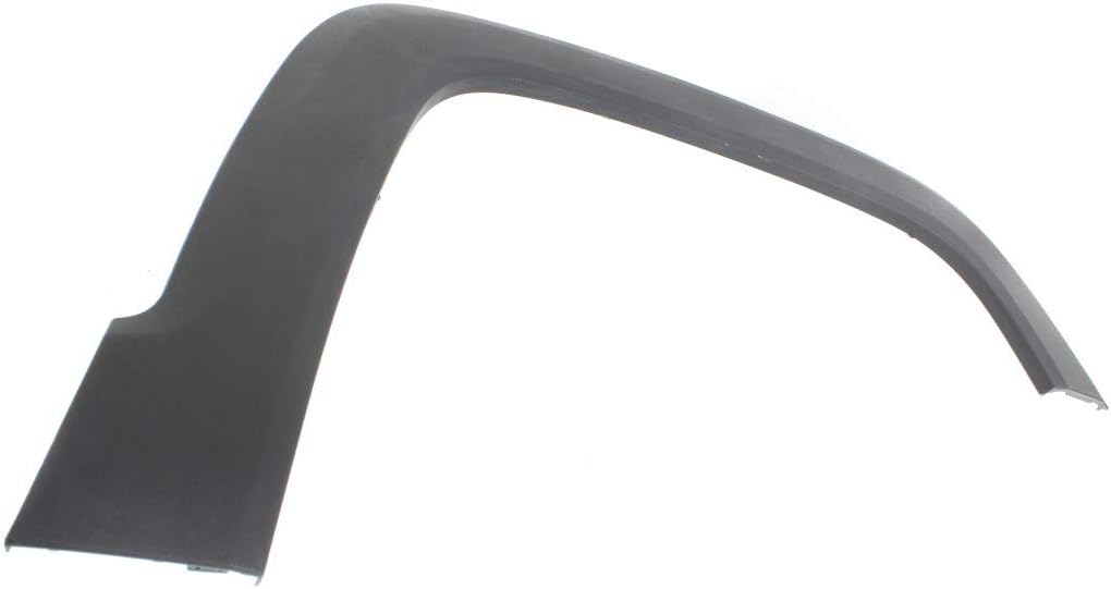 Passenger Side Front Wheel Arch Molding D319