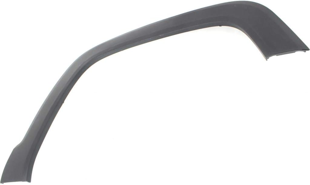 Passenger Side Front Wheel Arch Molding D319