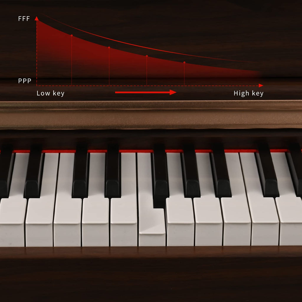 88 Key Full Weighted Digital Piano with Triple Pedal D6009