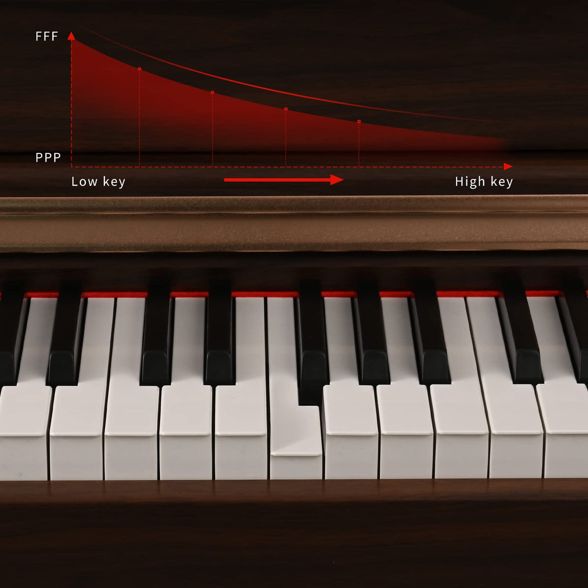 88 Key Full Weighted Digital Piano with Triple Pedal D6009