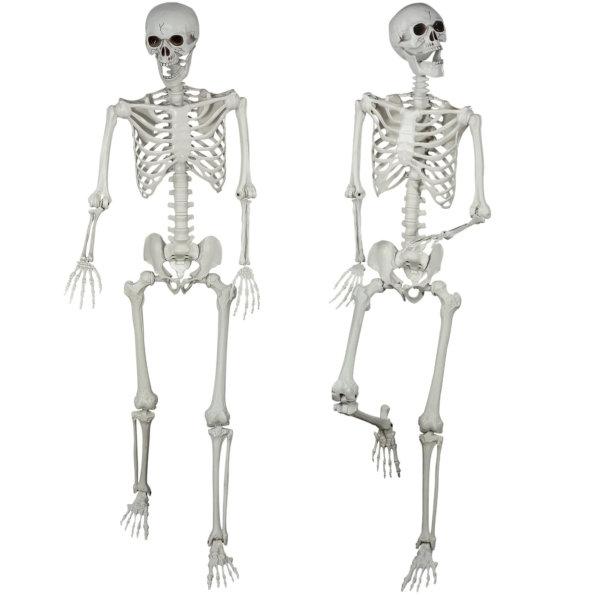 5.4ft Posable Life Size Skeleton Bones with Movable Joints U715