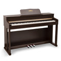 88 Key Full Weighted Digital Piano with Triple Pedal D6009