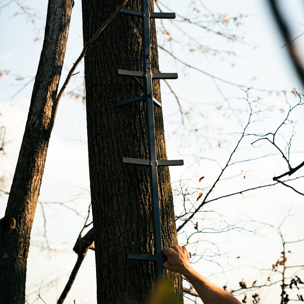 Tree Climbing System with Non-Slip Coating Q349120