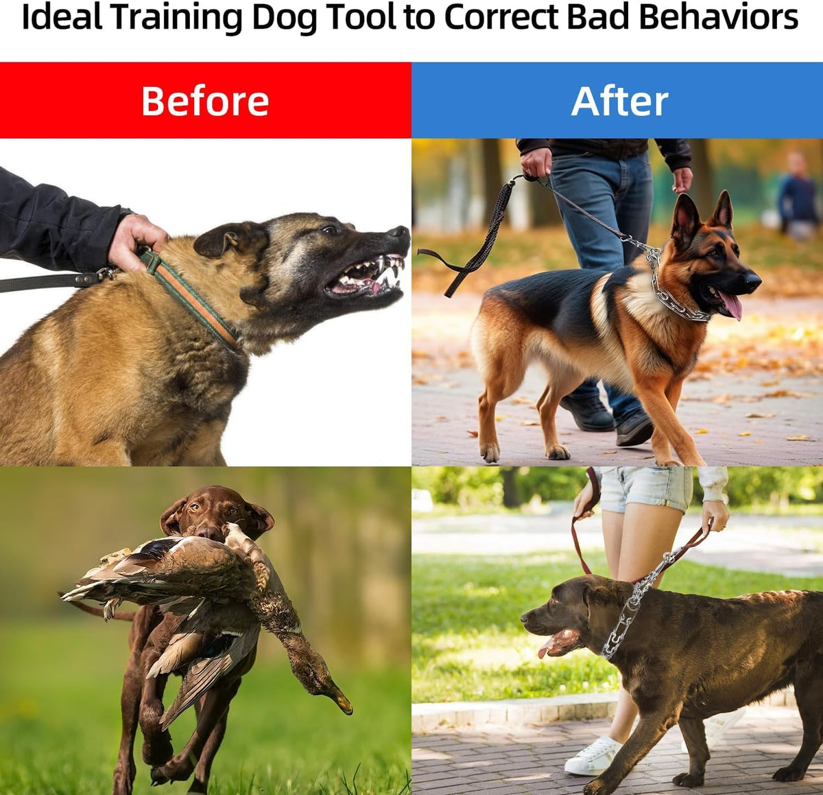 Stainless Steel Adjustable Dog Training Collar A174944