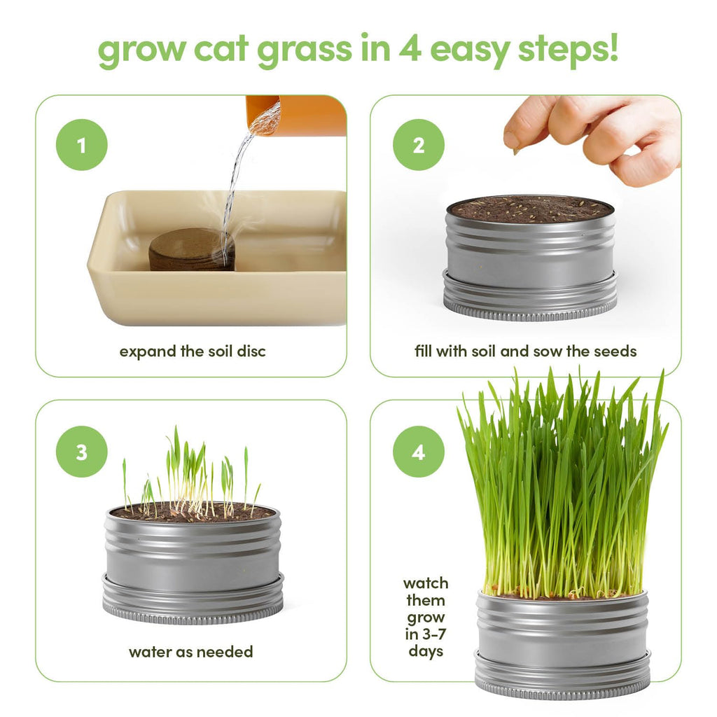 Cat Grass for Indoor Cats Kit E540