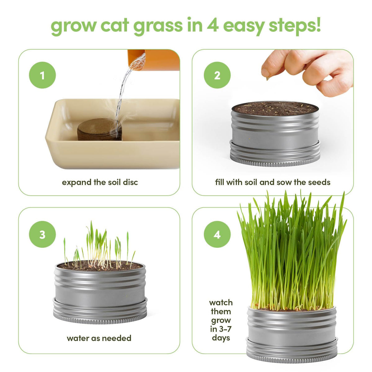 Cat Grass for Indoor Cats Kit E540