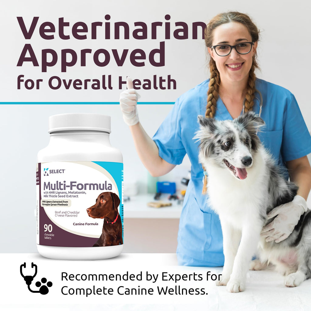 90 Tablets Beef Flavor Dog Multivitamin X2256