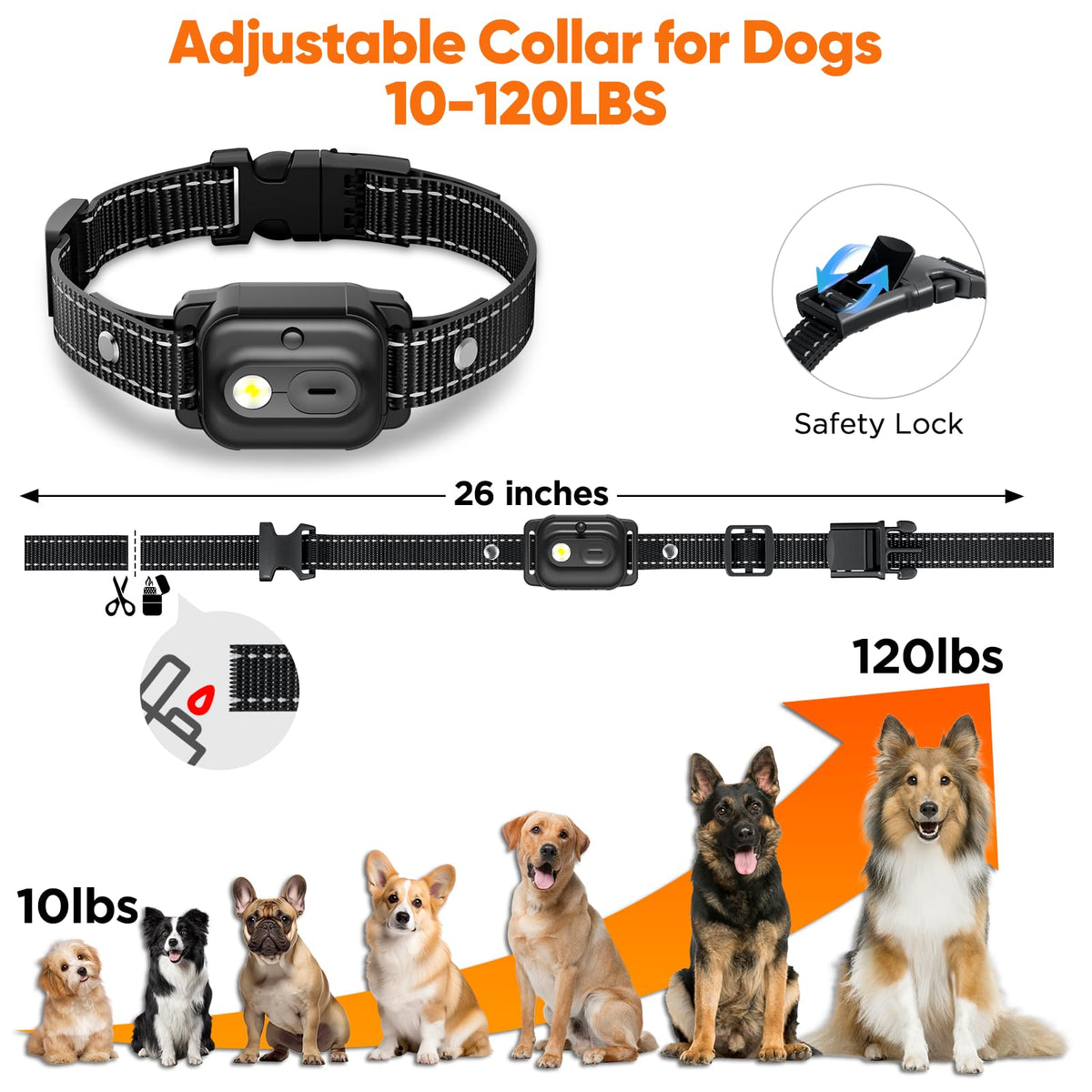 Orange Dog Training Collar with Remote X390875