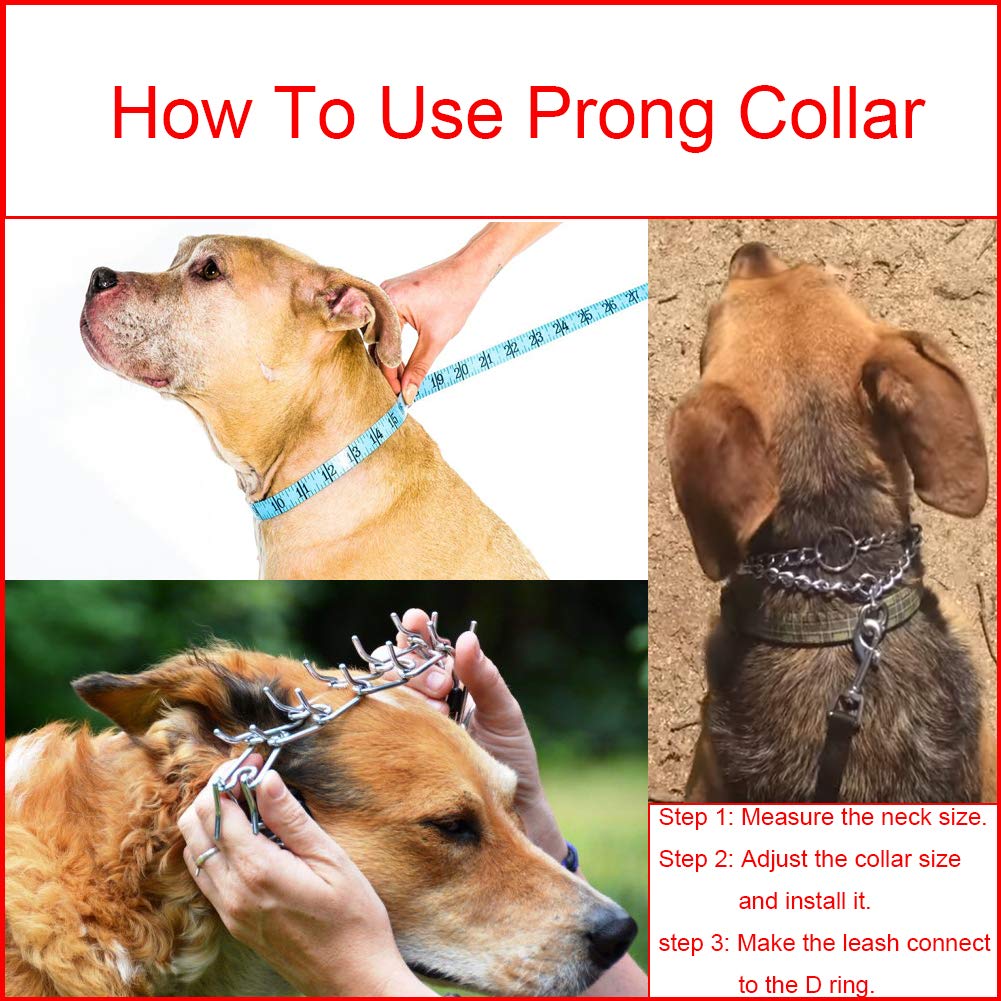 Stainless Steel Adjustable Dog Training Collar A174944