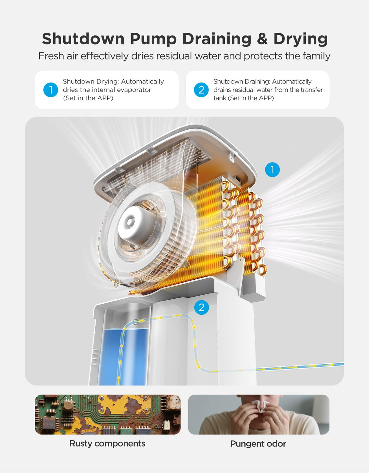 Dehumidifier with WiFi J717