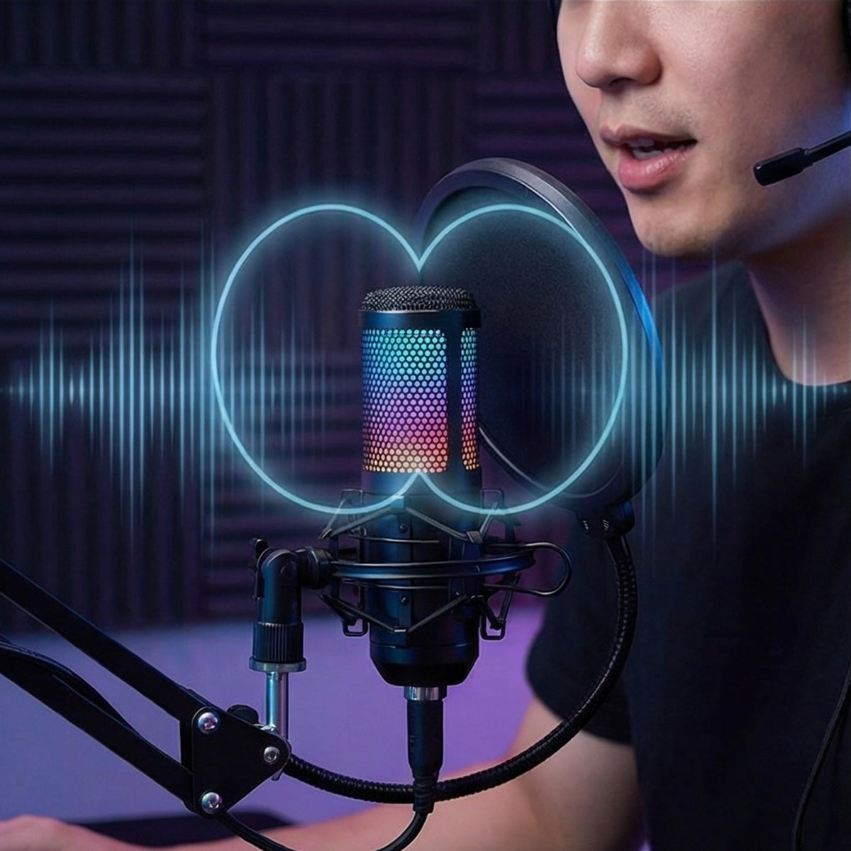 USB Condenser Gaming Mic with Shock Mount D381