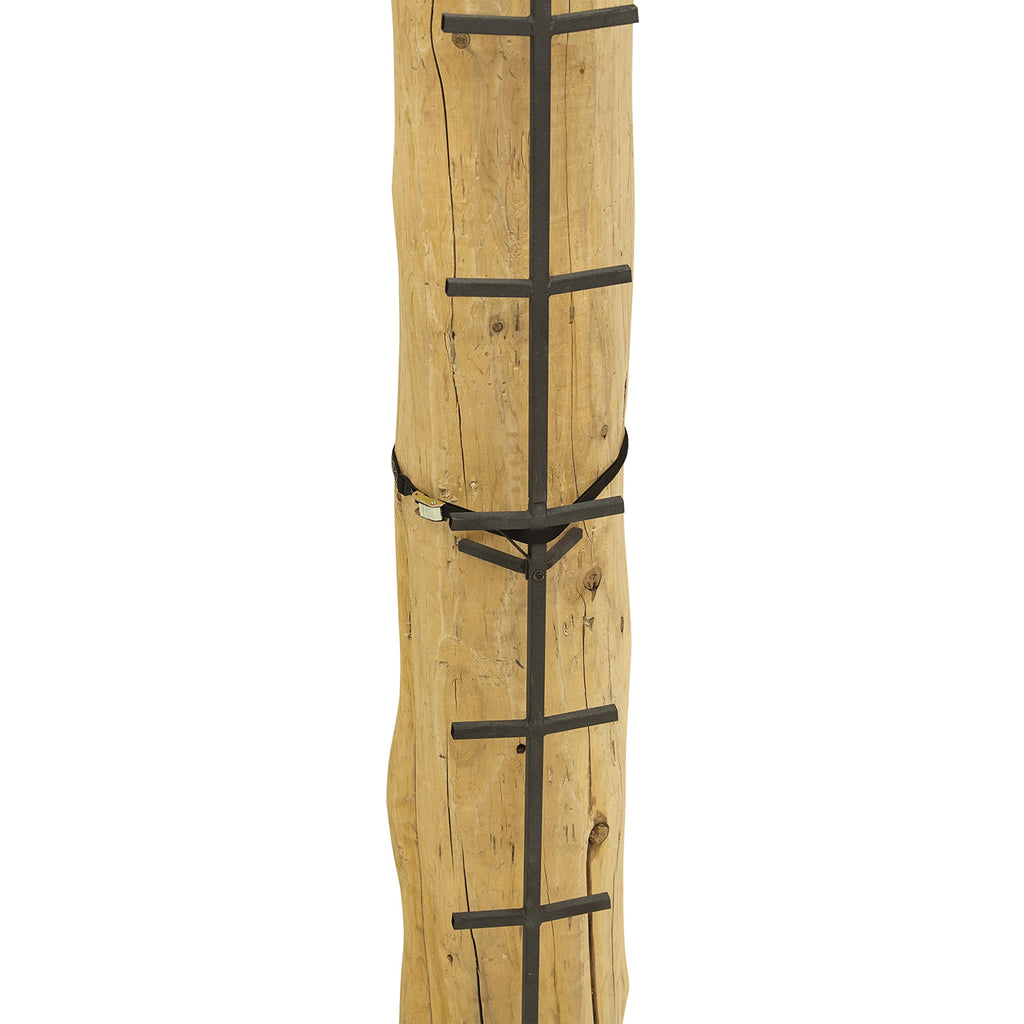 Tree Climbing System with Non-Slip Coating Q349120