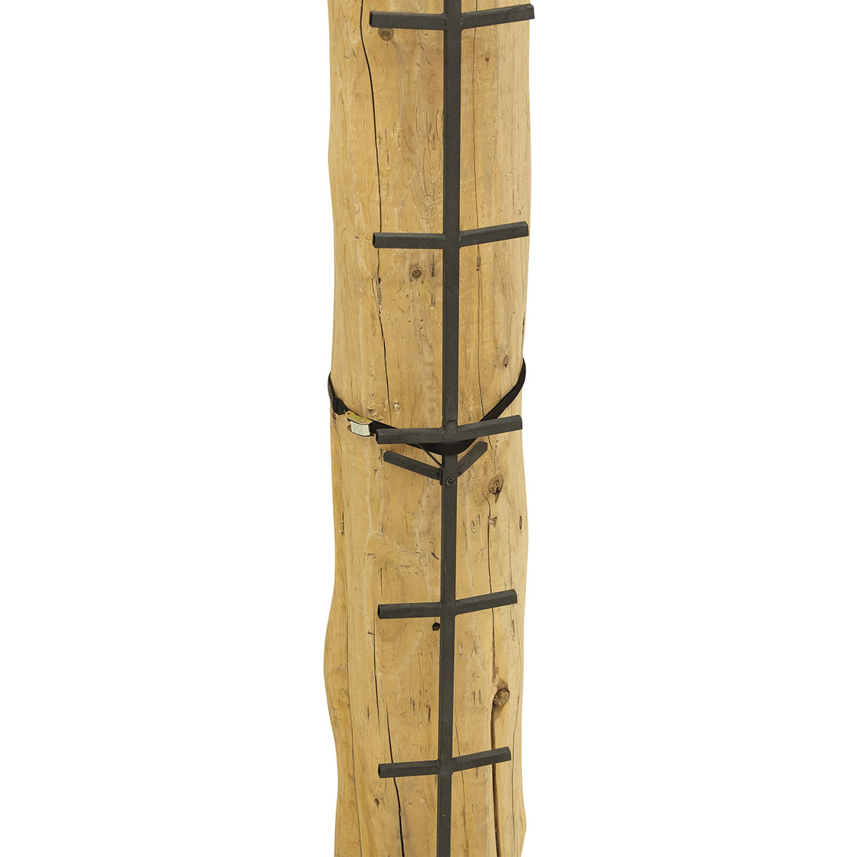 Tree Climbing System with Non-Slip Coating Q349120