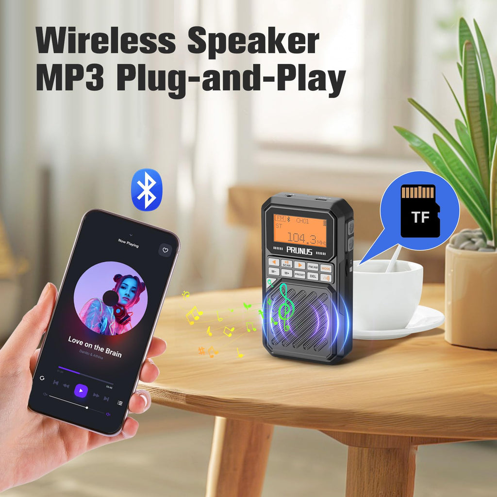 Portable AM FM Radio with Bluetooth E600557
