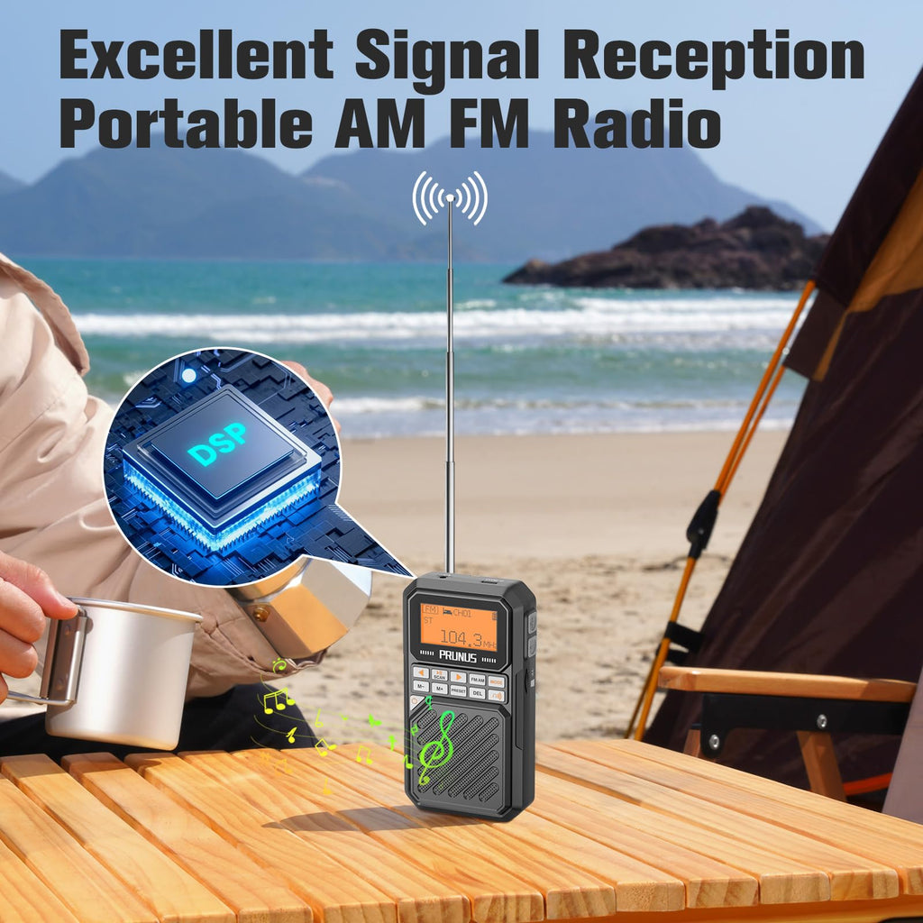 Portable AM FM Radio with Bluetooth E600557