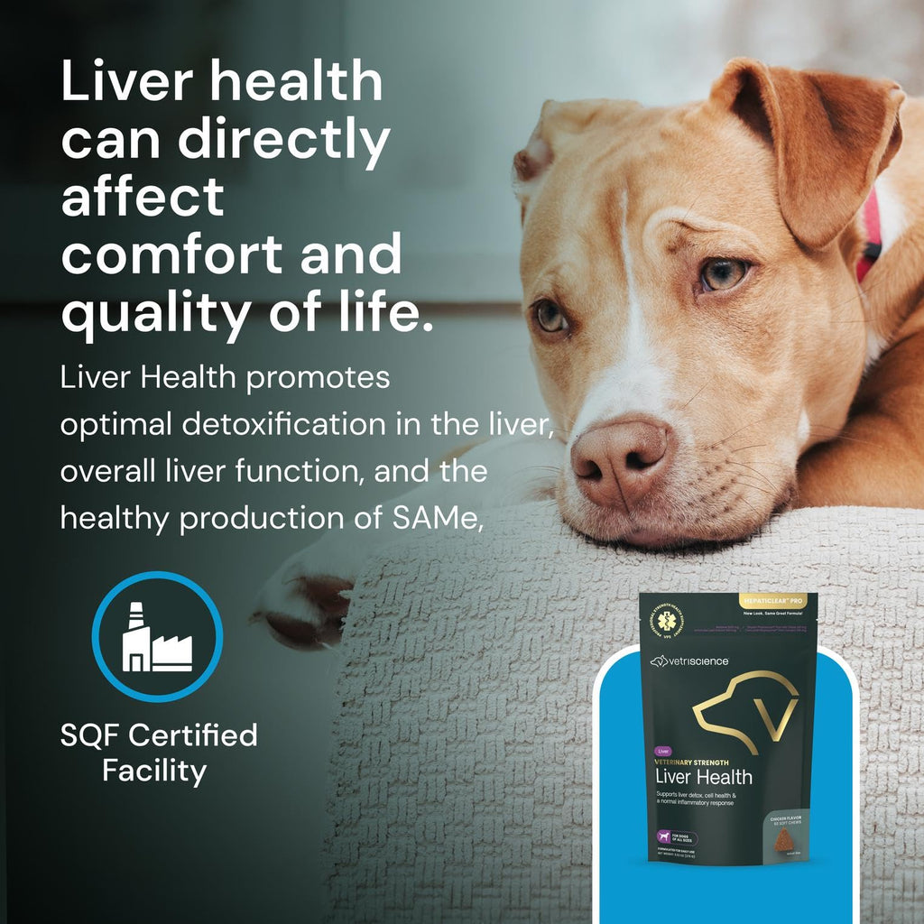 Liver Health Chews 60 Count K45990