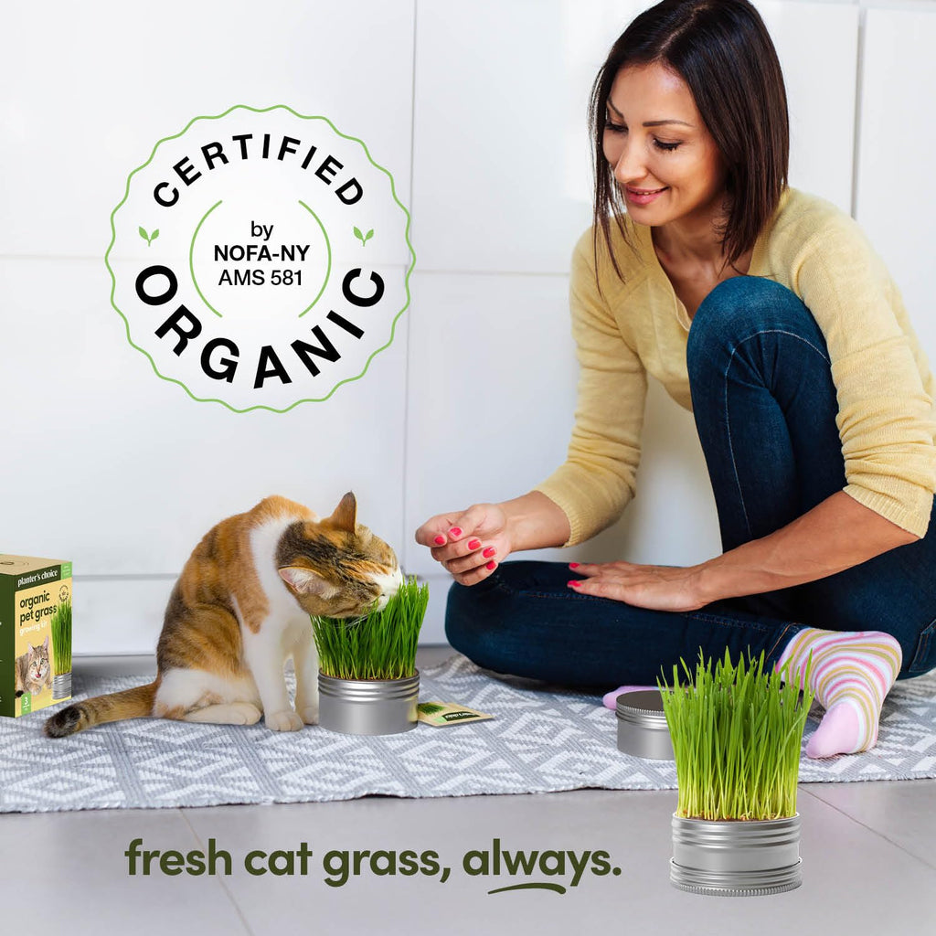 Cat Grass for Indoor Cats Kit E540
