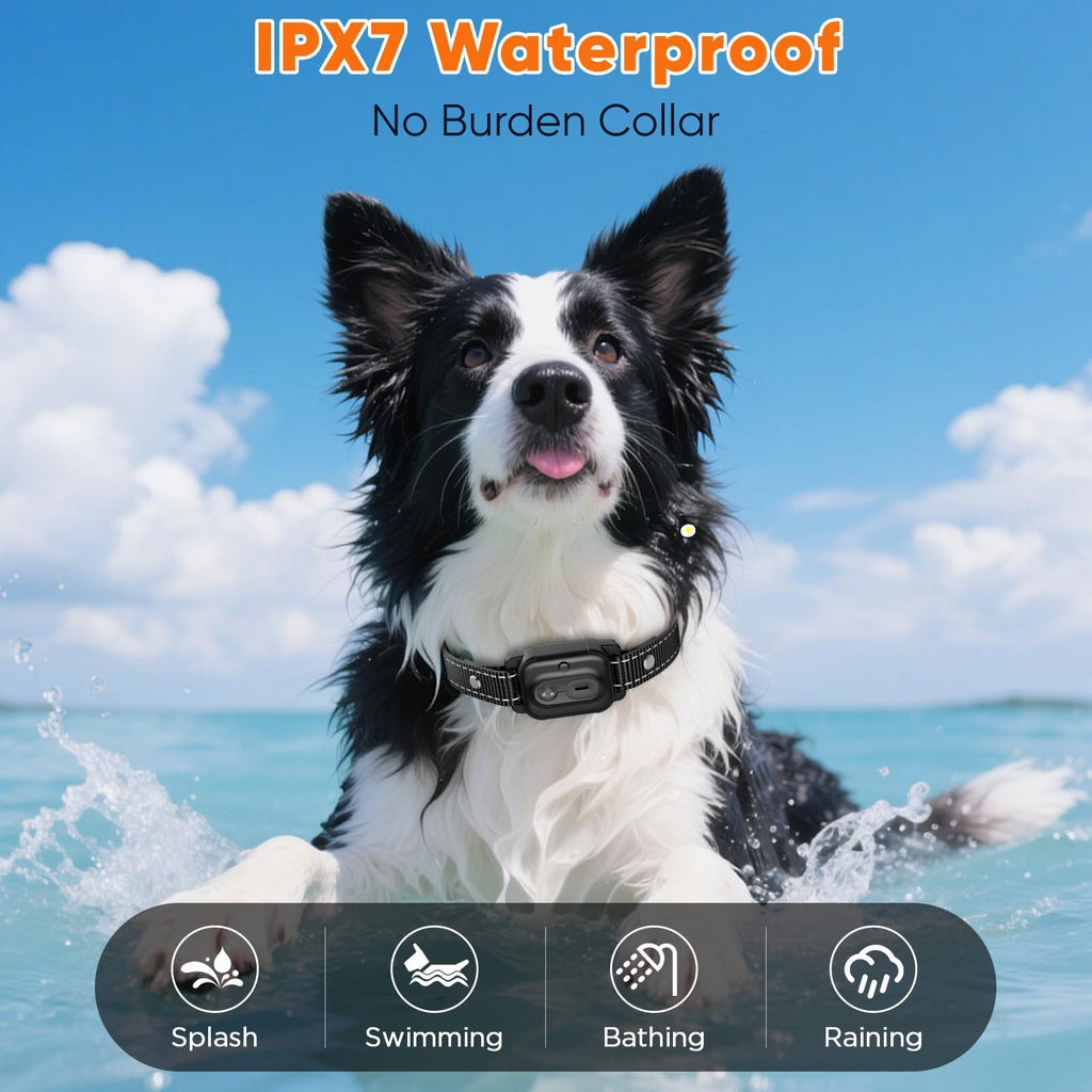 Orange Dog Training Collar with Remote X390875