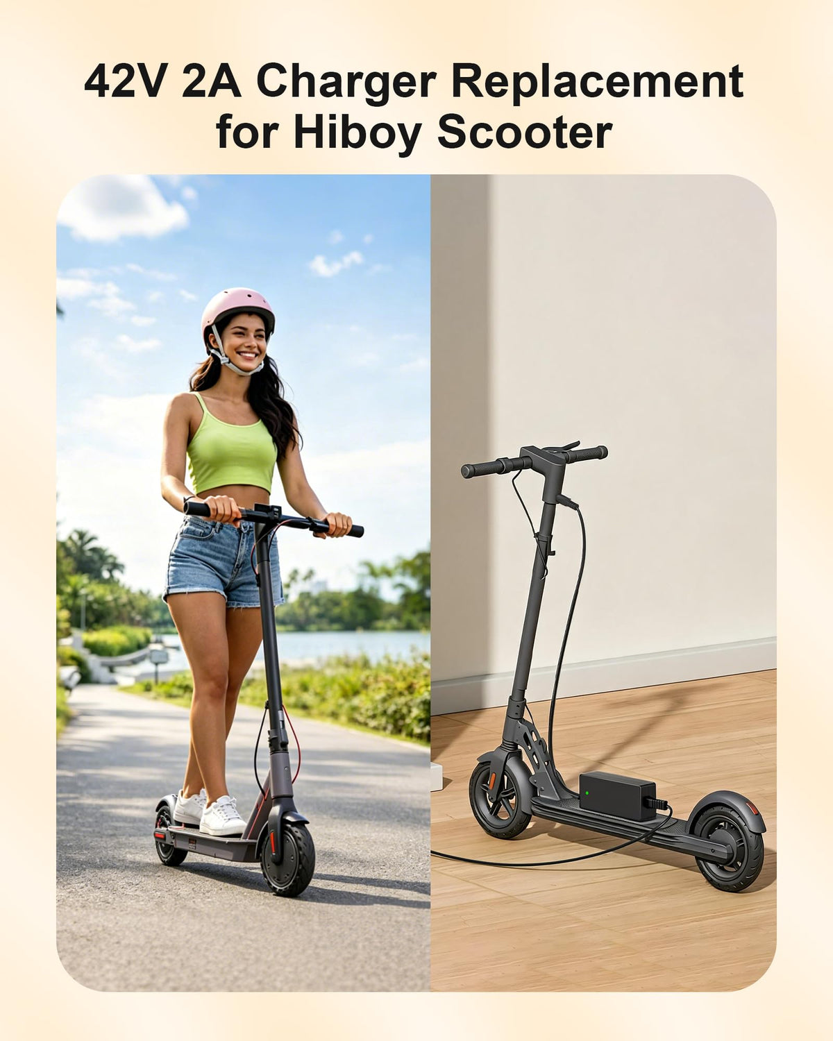 42V Electric Scooter Charger Z604