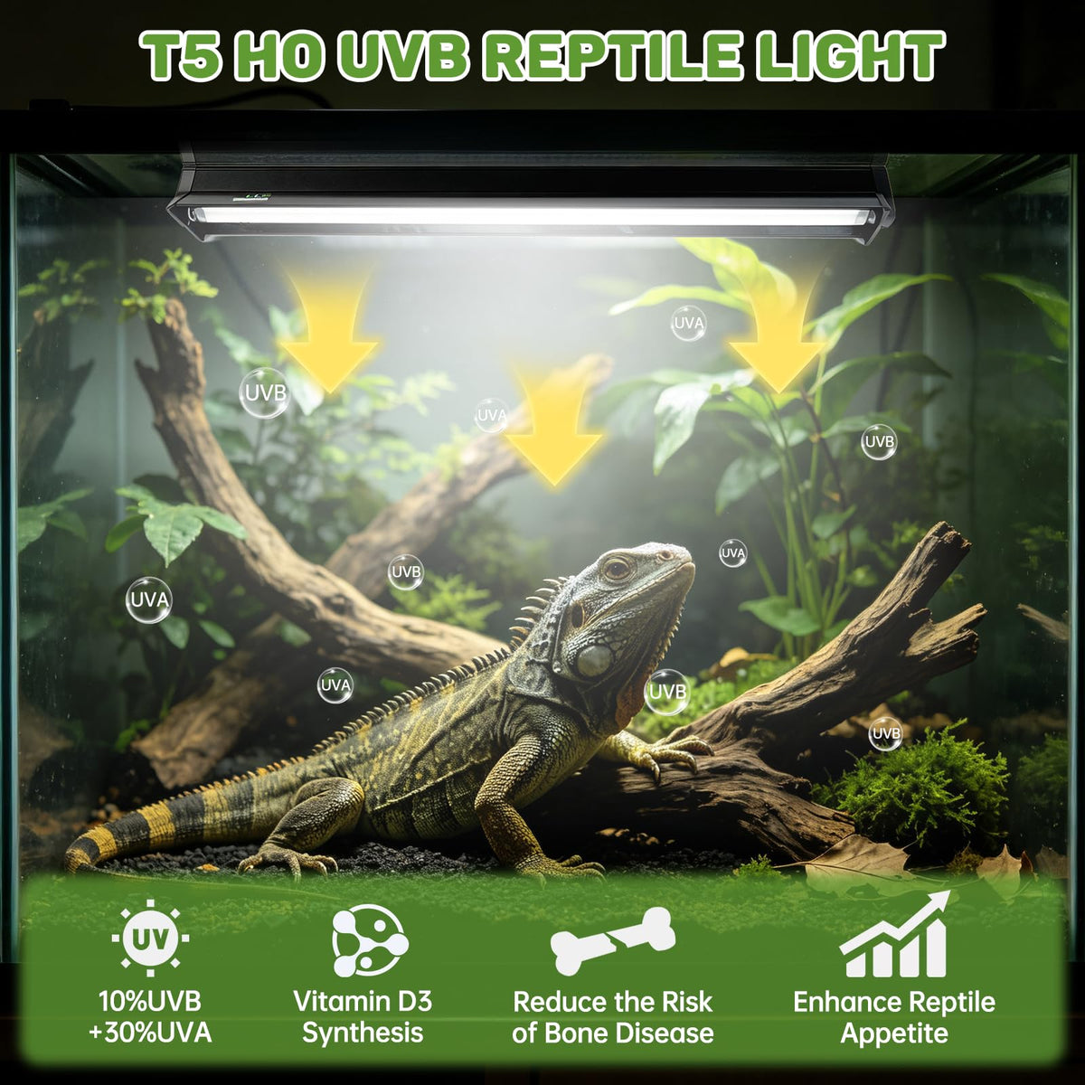 8W 10.0 UVA UVB Reptile Light Fixture K725888