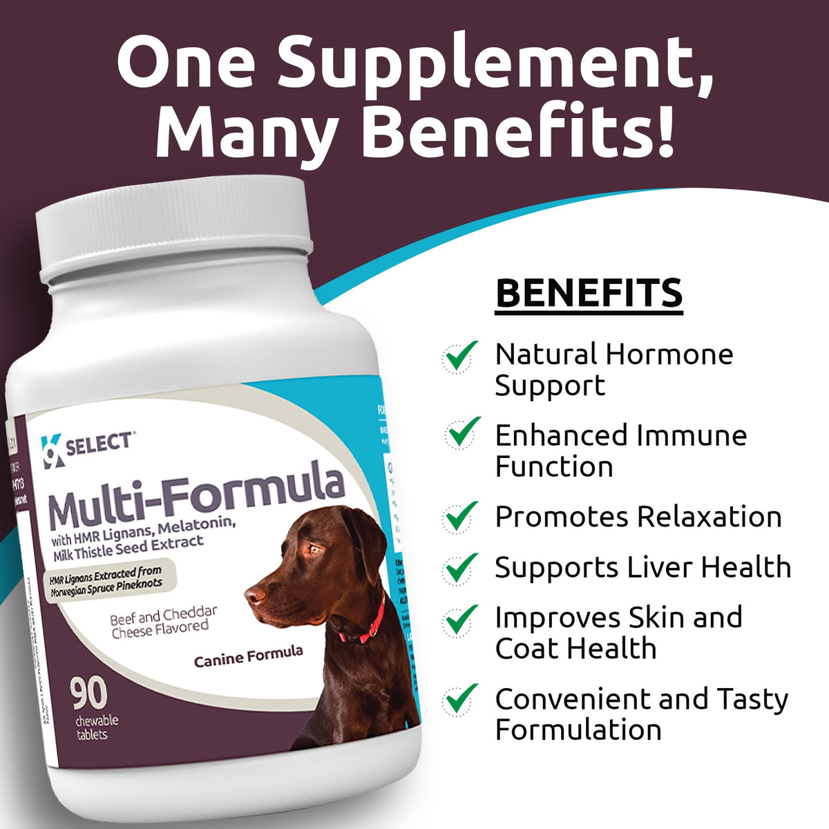 90 Tablets Beef Flavor Dog Multivitamin X2256
