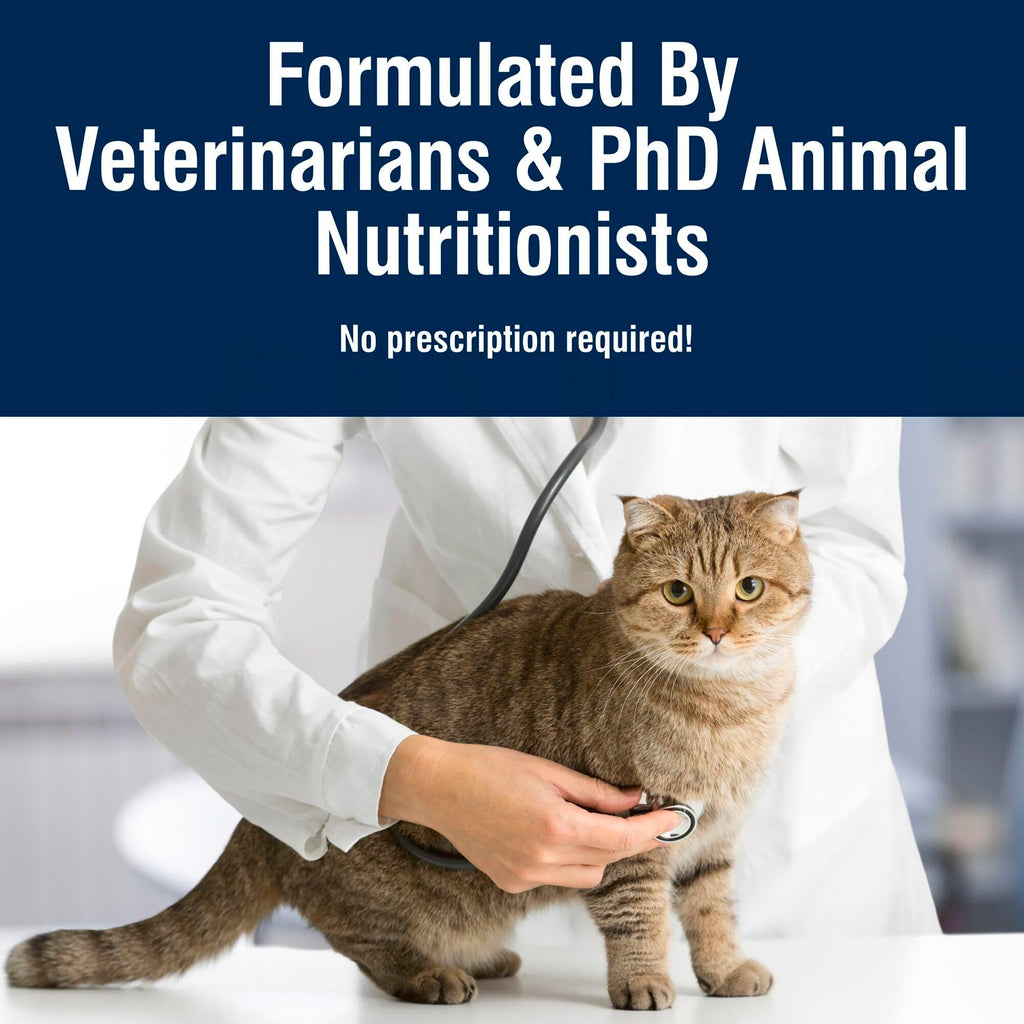 Chicken Dry Cat Food 3.5 lb V15954