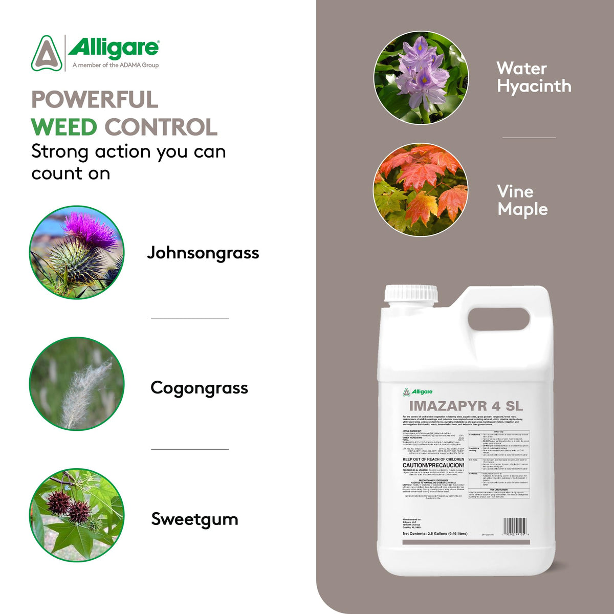 Imazapyr 4 SL Herbicide 2.5 Gallon Liquid Weed Killer B164