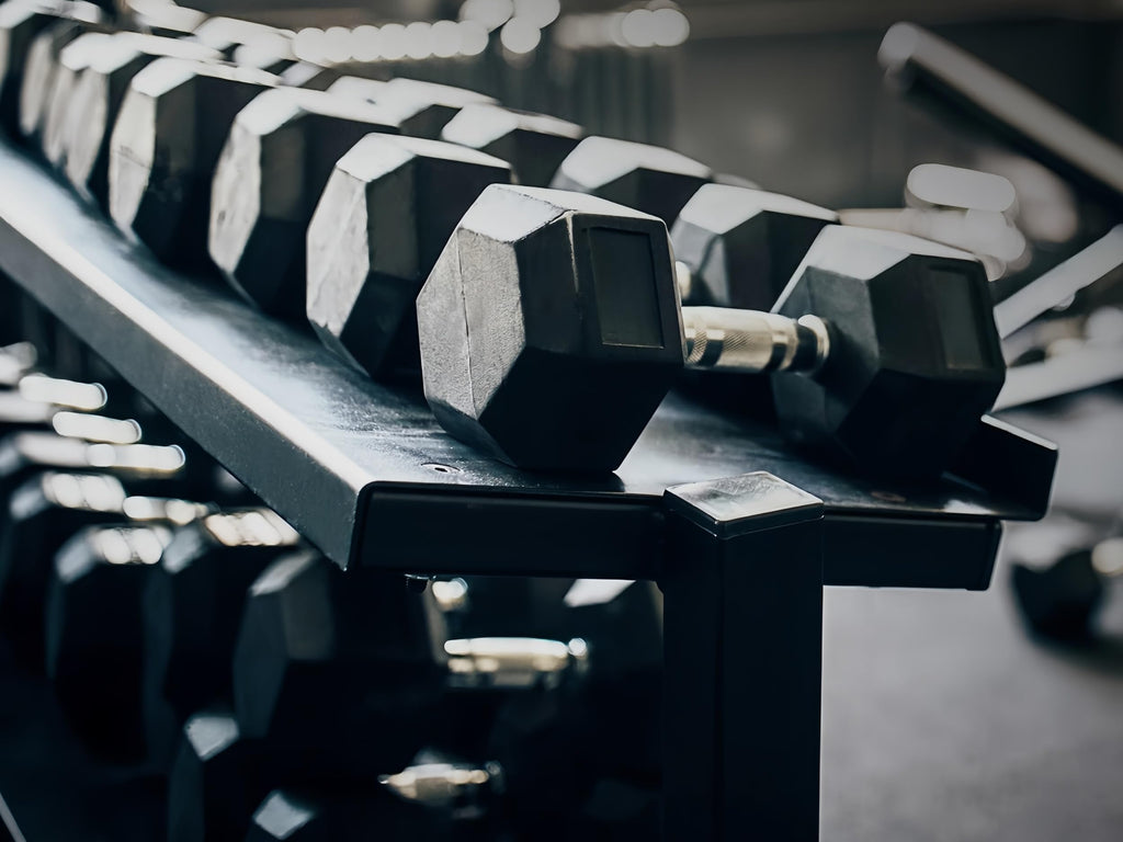 10LB Rubber Hex Dumbbells Set of 2 N8189