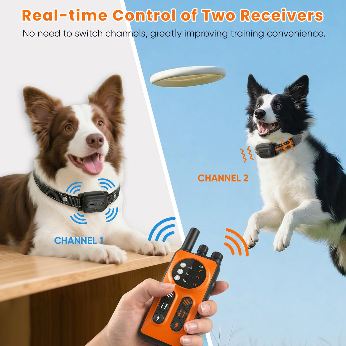Orange Dog Training Collar with Remote X390875