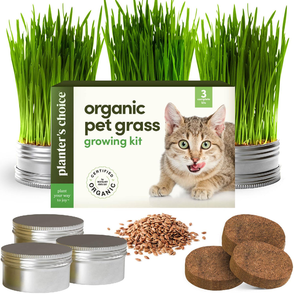 Cat Grass for Indoor Cats Kit E540
