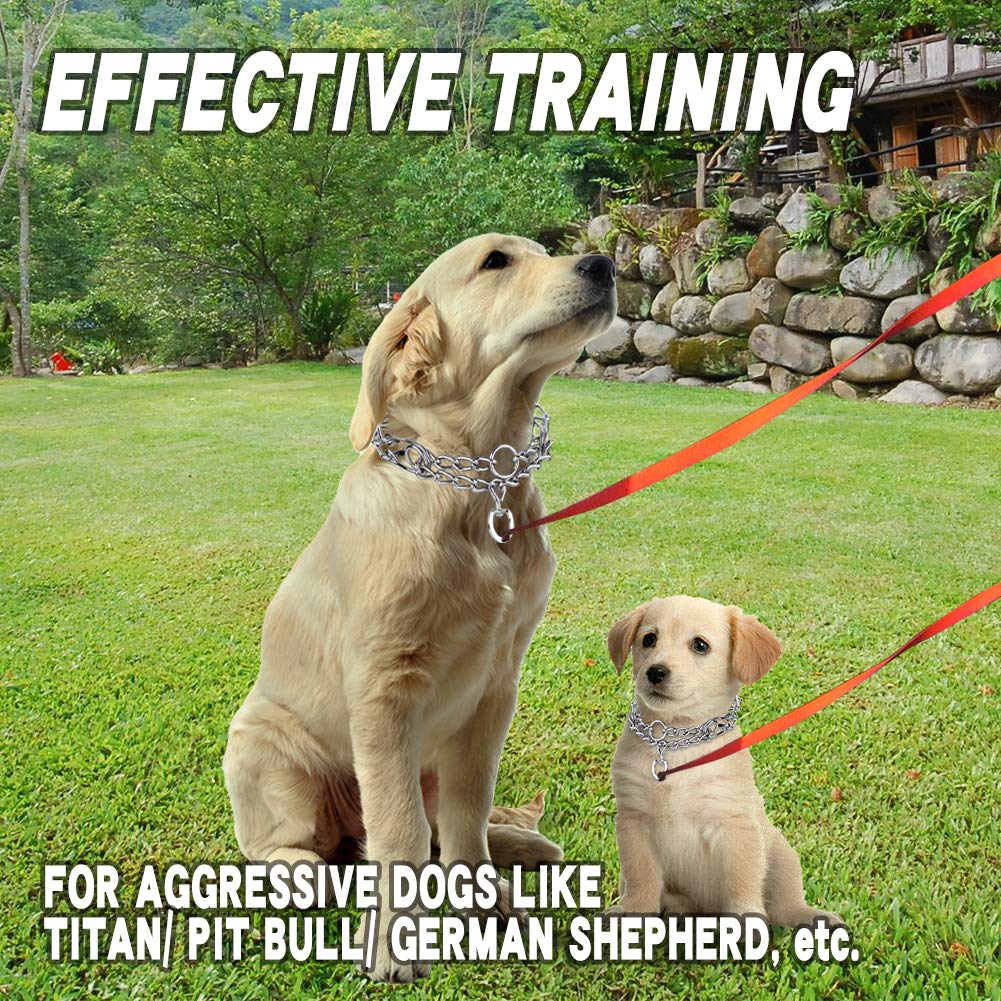Stainless Steel Adjustable Dog Training Collar A174944
