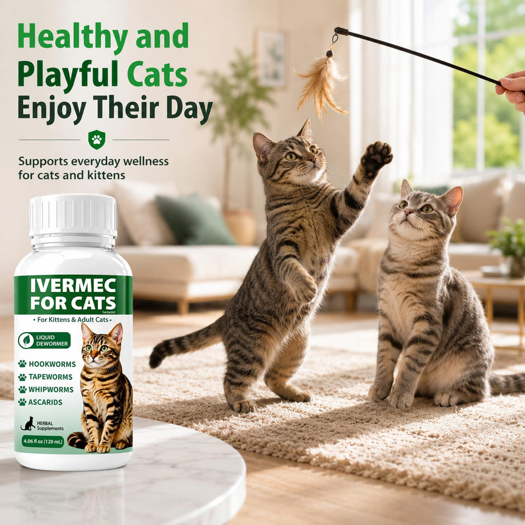 Cat Dewormer Liquid for Cats & Kittens A236931