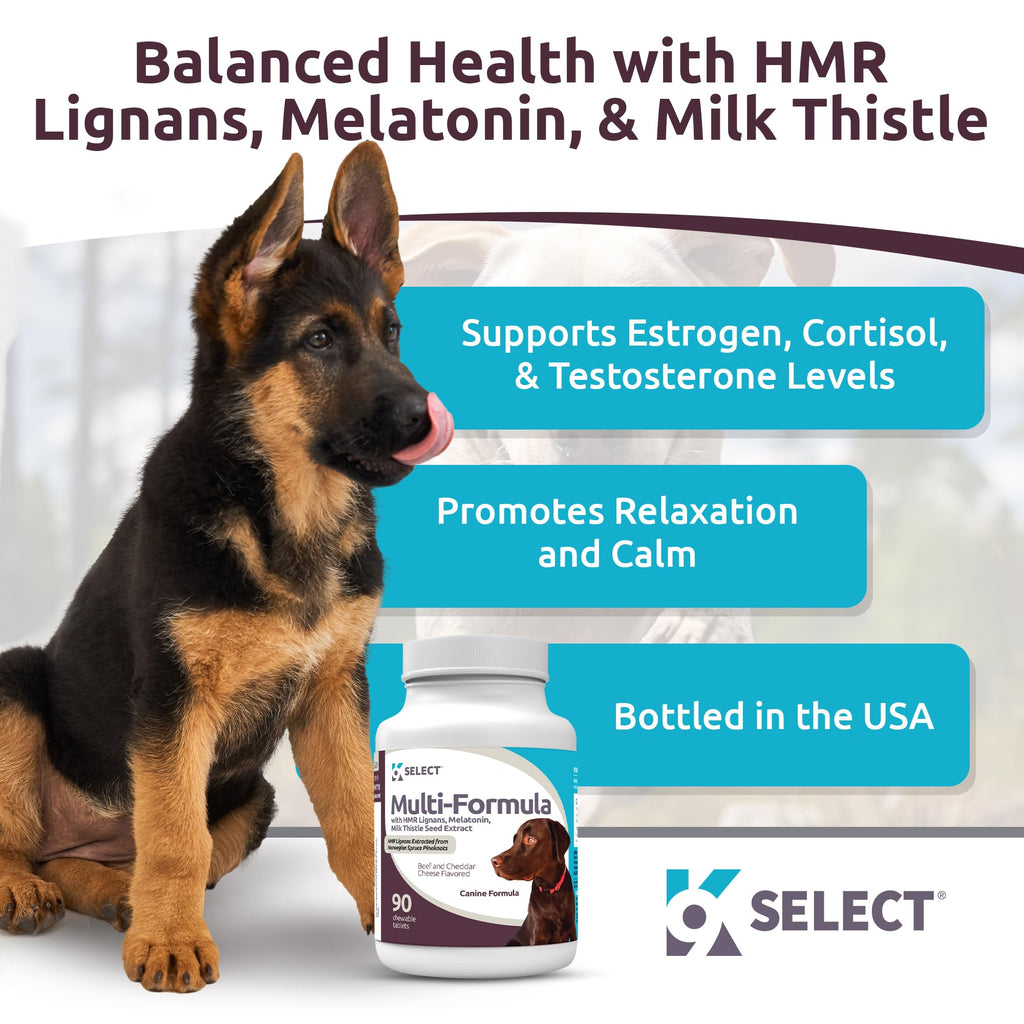 90 Tablets Beef Flavor Dog Multivitamin X2256