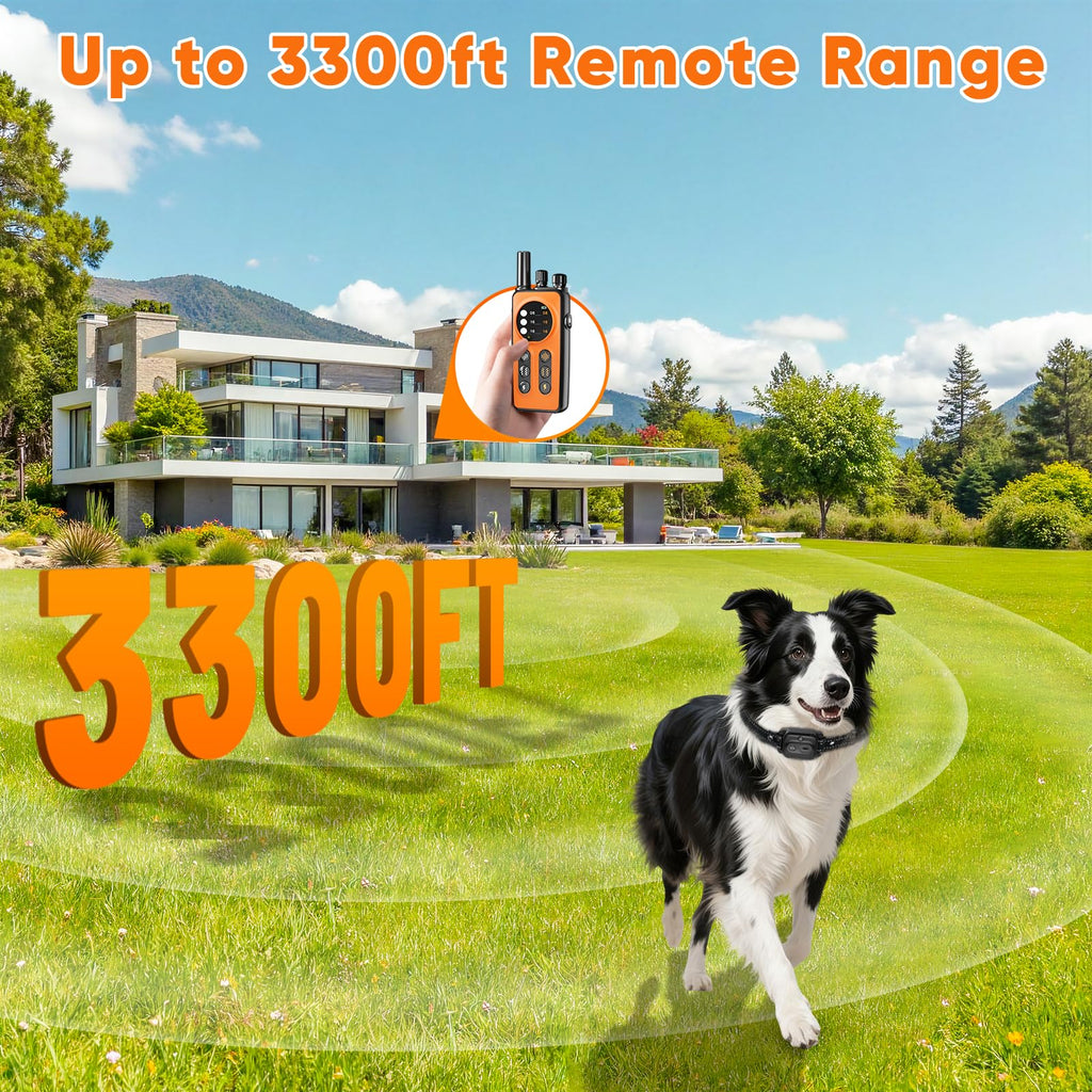 Orange Dog Training Collar with Remote X390875