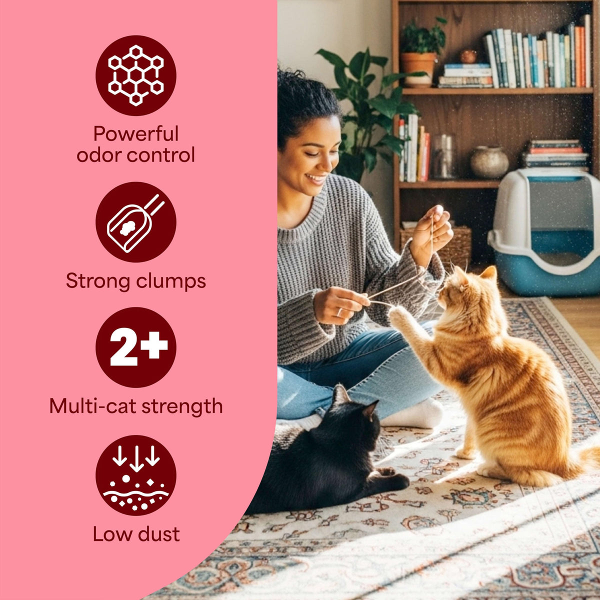 14 lb Clumping Cat Litter M892347