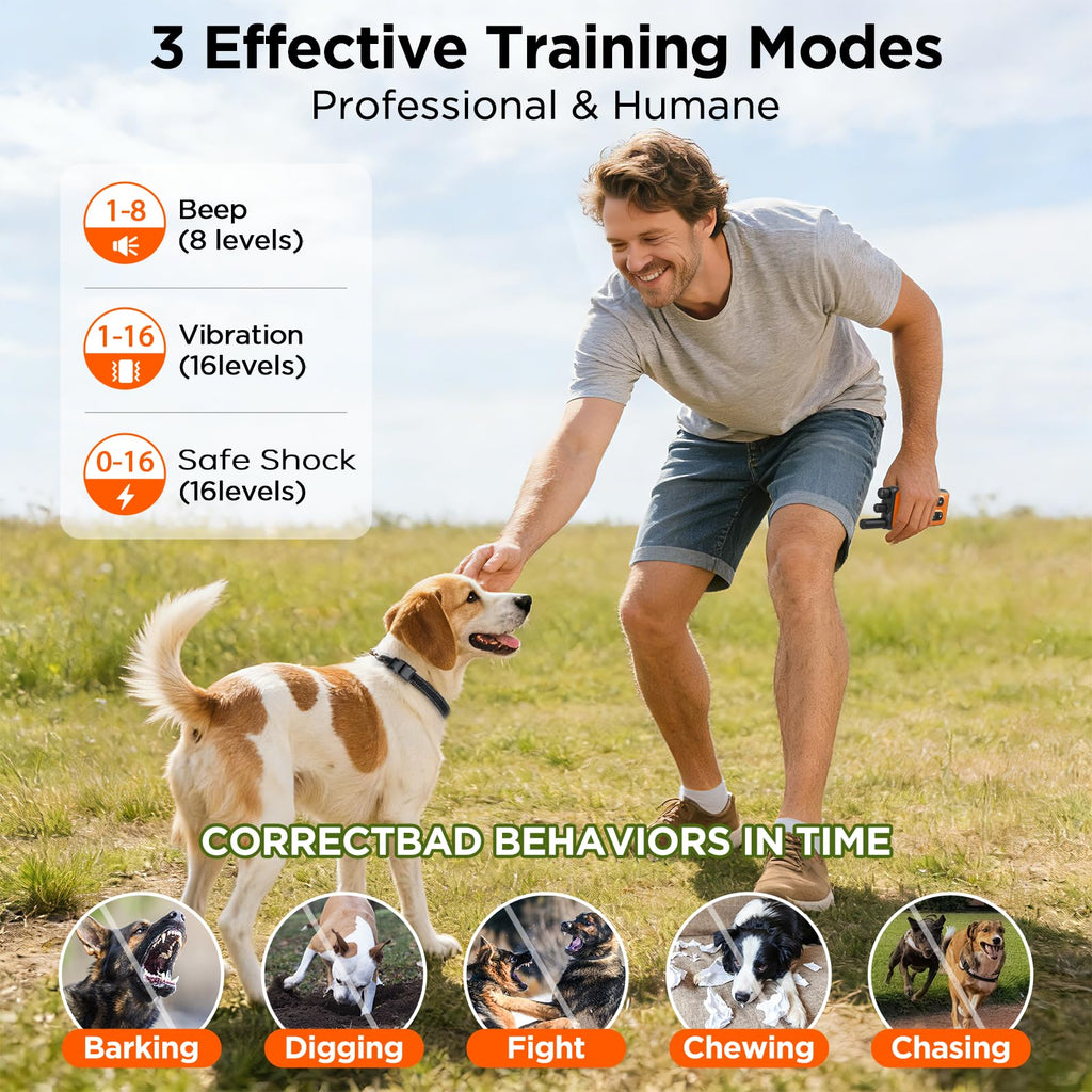 Orange Dog Training Collar with Remote X390875