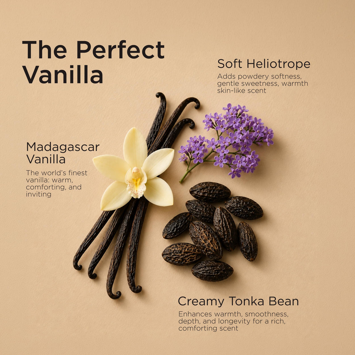 Pure Vanilla Perfume 1.7 Fl Oz O70594