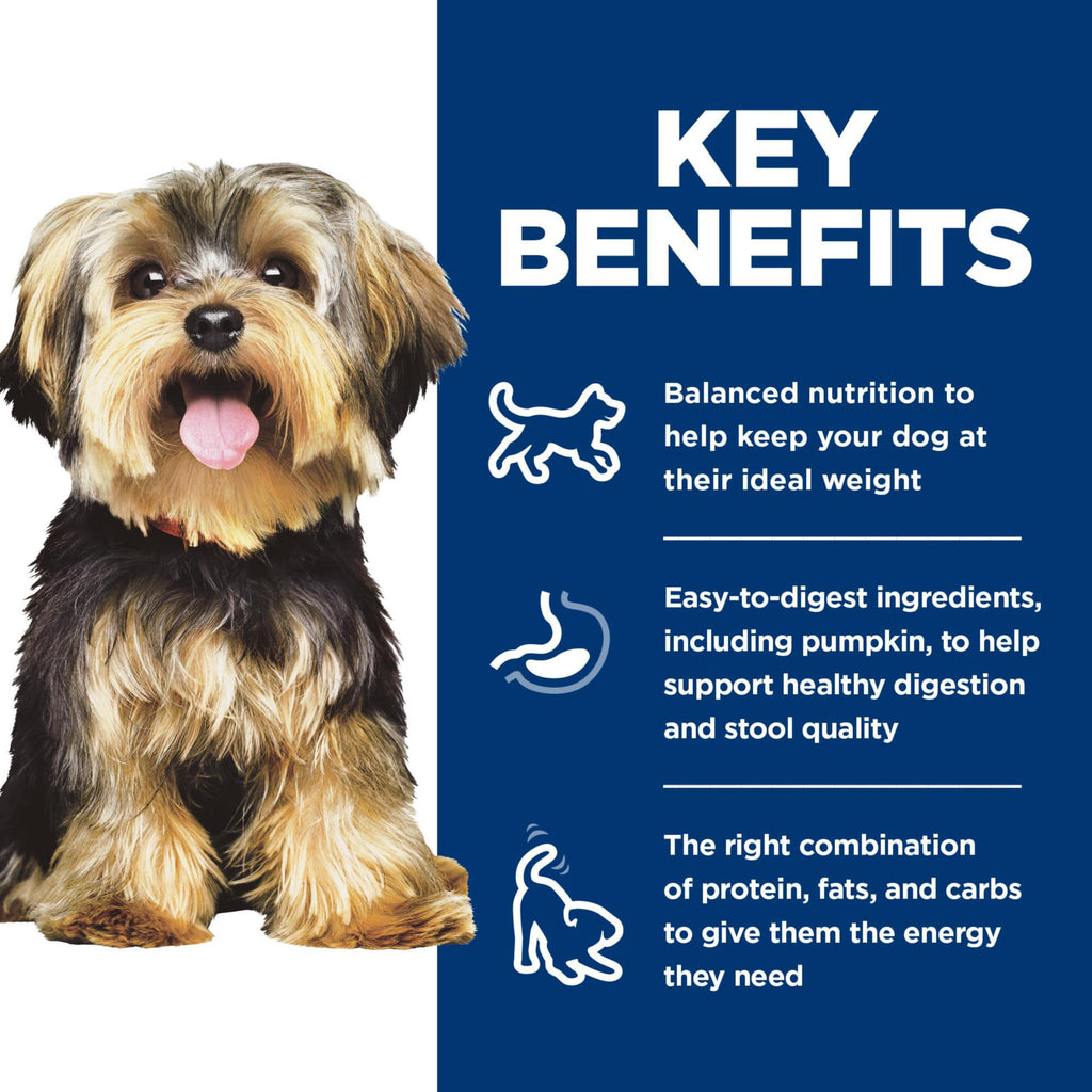 Wet Dog Food Variety Pack Y905