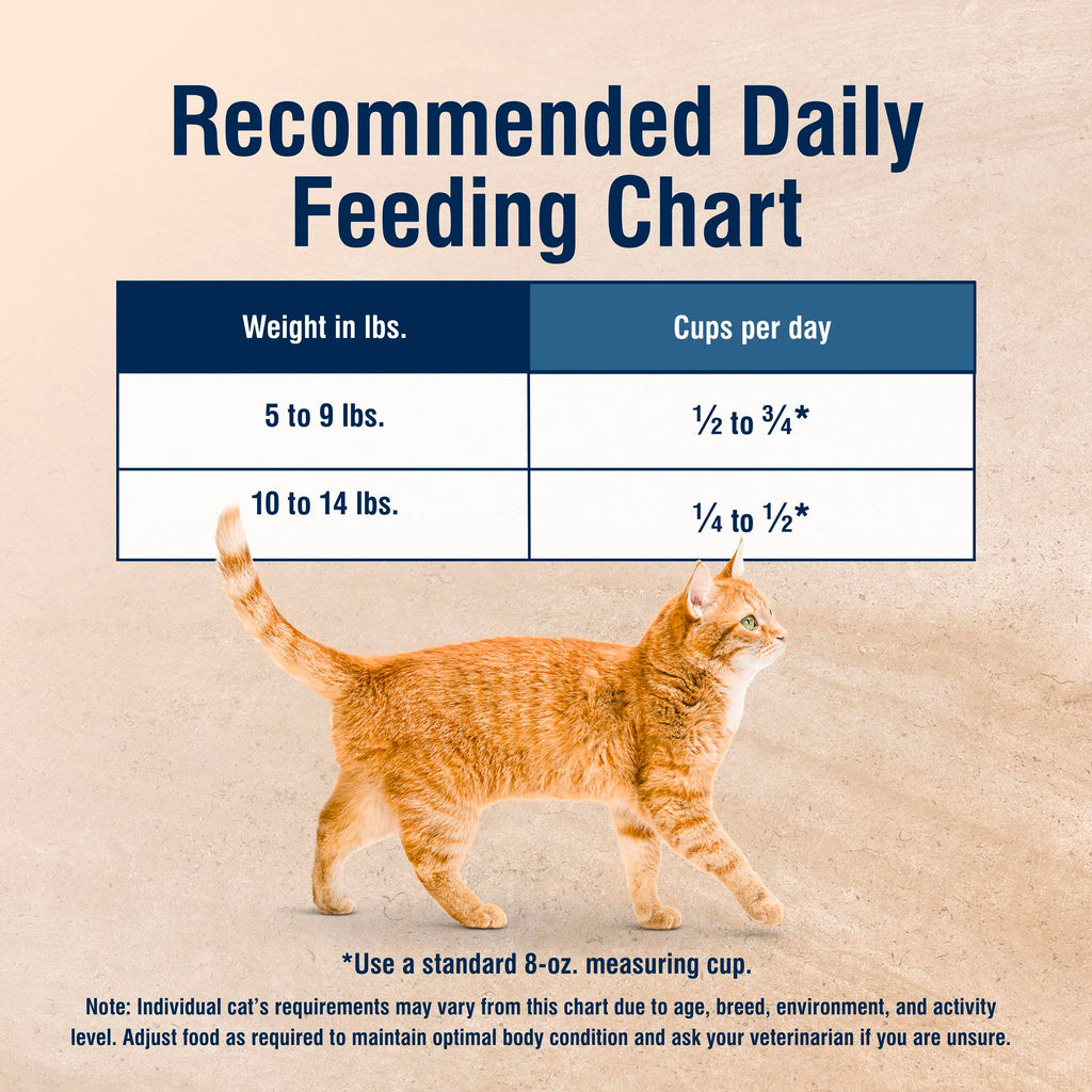 Chicken Dry Cat Food 3.5 lb V15954