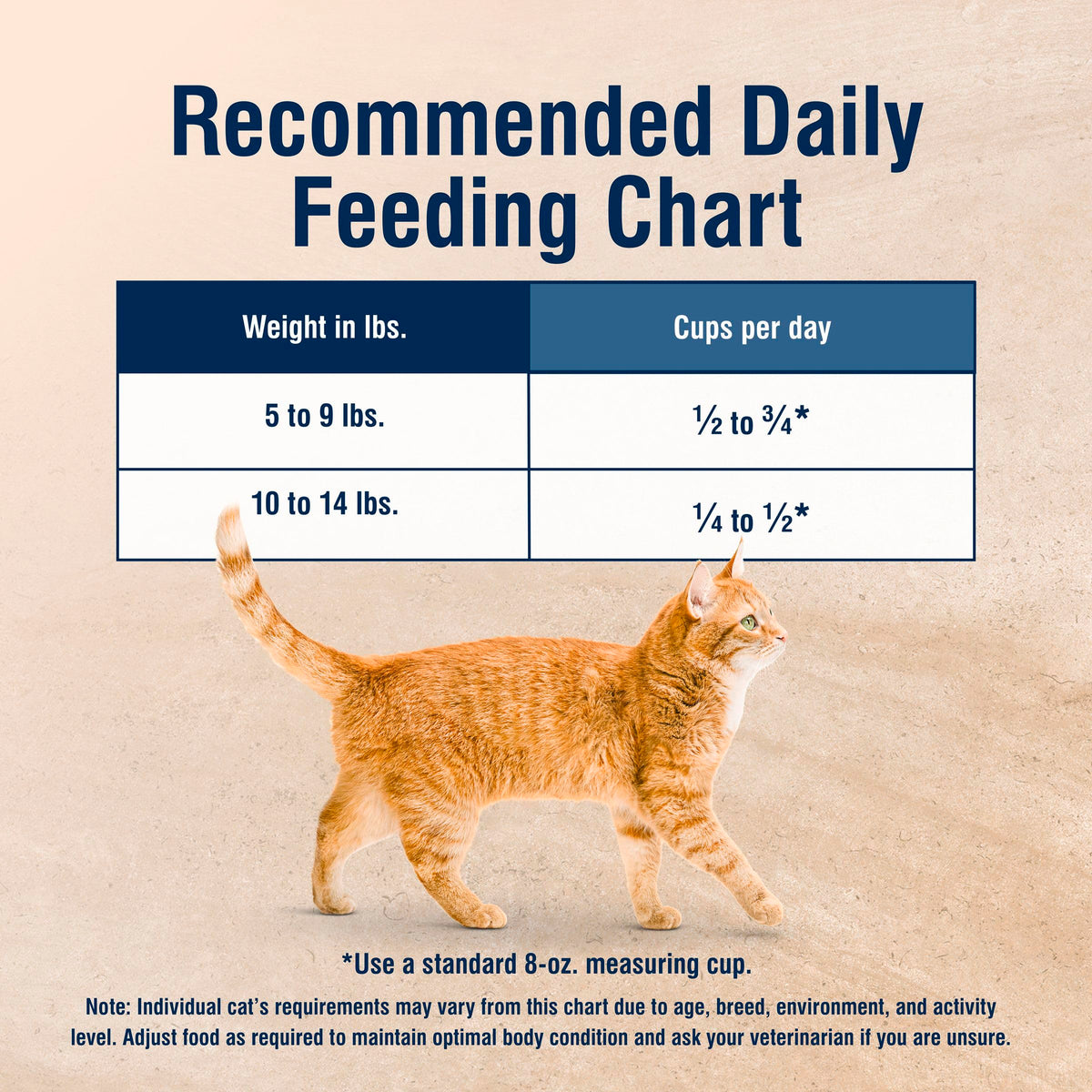 Chicken Dry Cat Food 3.5 lb V15954