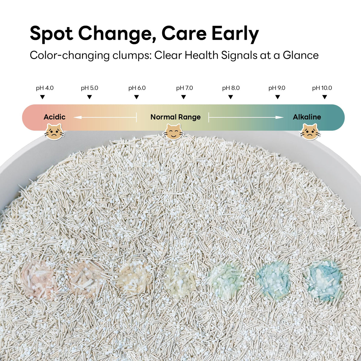 Plant-Based Tofu Cat Litter with Cassava, Color-Changing, Fast Clumping, Unscented 10 lb P771